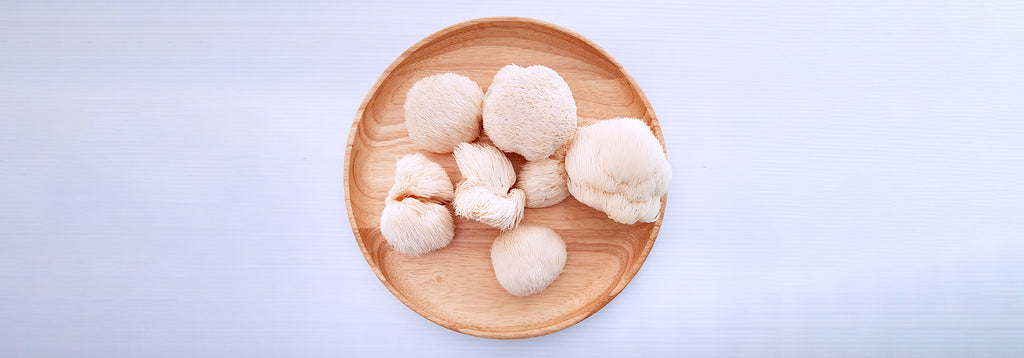 Lion's mane - WHAT is it? WHY is it useful?