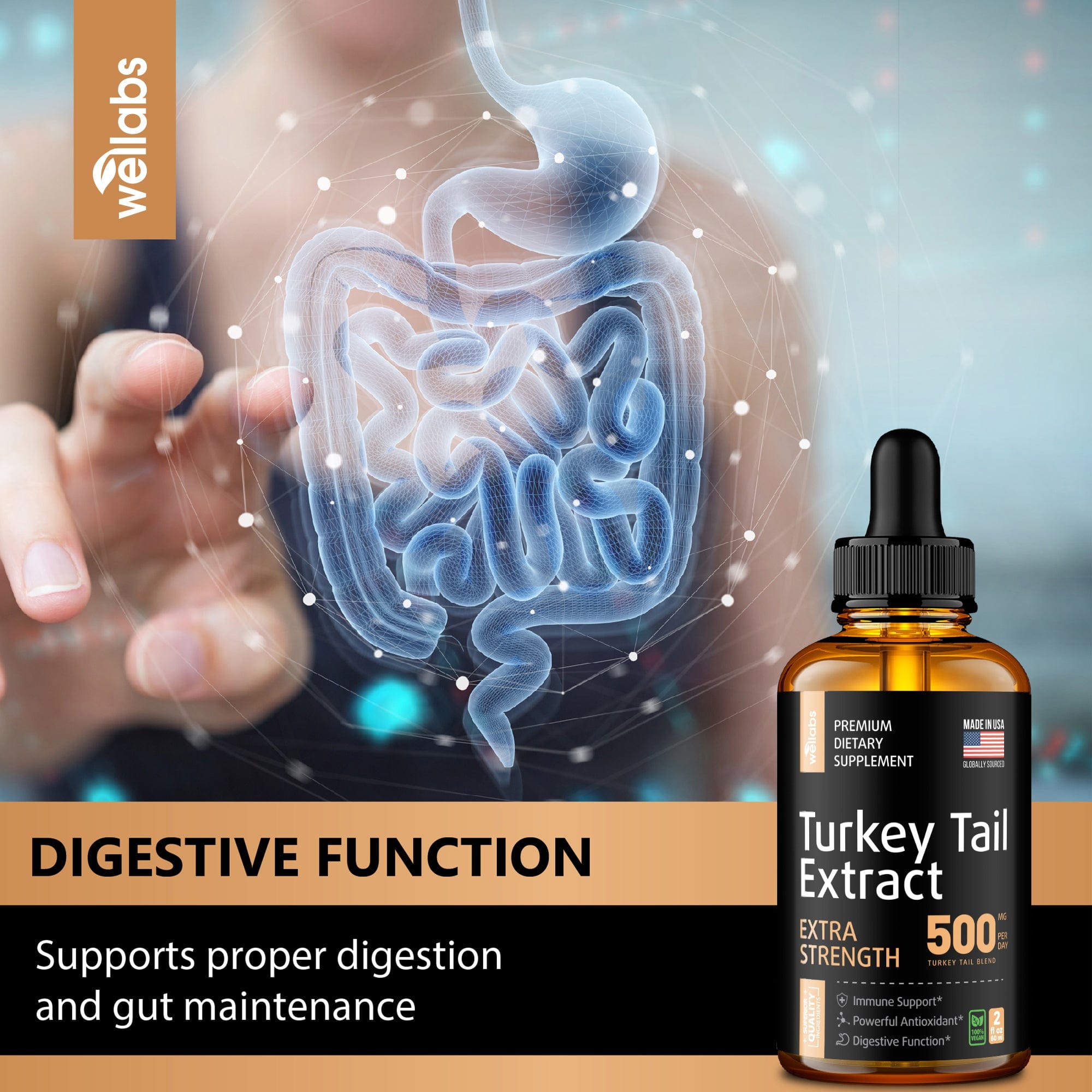 digestive function